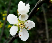 ��ů����-����ͣͣ-������